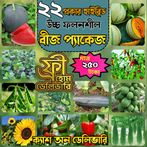 ২২ প্রকার মৌসুমি সবজির বীজের প্যাকেট — বারোমাস চাষযোগ্য, মানসম্পন্ন ও tested বীজ সংকলন